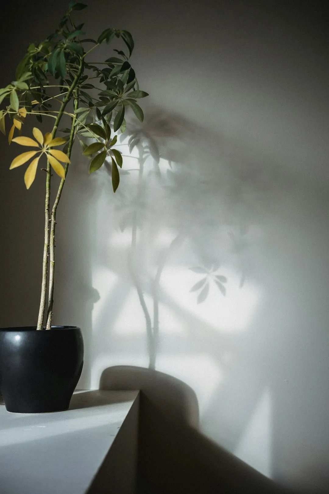 Environmentally Responsible Formulations